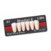 Kulzer Pala MONDIAL 6/8 NanoPearl Acrylic Teeth (Kulzer Classic High End Denture Teeth Range) - 1 Card